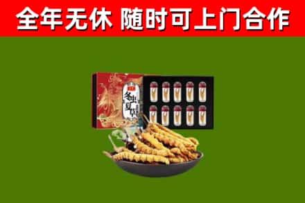 昭化区回收冬虫夏草价格